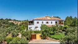 Spectacular country estate in Villanueva del Rosario, Villanueva del Rosario 29312