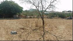 Large plot with finca and preliminary project for sale in Son Se, Son Servera 07550