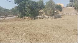 Large plot with finca and preliminary project for sale in Son Se, Son Servera 07550