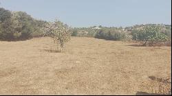 Large plot with finca and preliminary project for sale in Son Se, Son Servera 07550