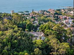 Majestic Neoclassical palace with panoramic views in Malaga East, Málaga 29016