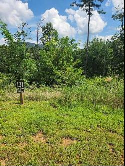 13 Lot 131 Twisted Oak, Ellijay GA 30540