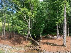 13 Lot 131 Twisted Oak, Ellijay GA 30540