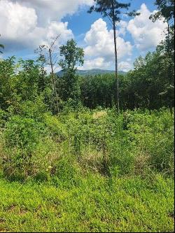 13 Lot 131 Twisted Oak, Ellijay GA 30540