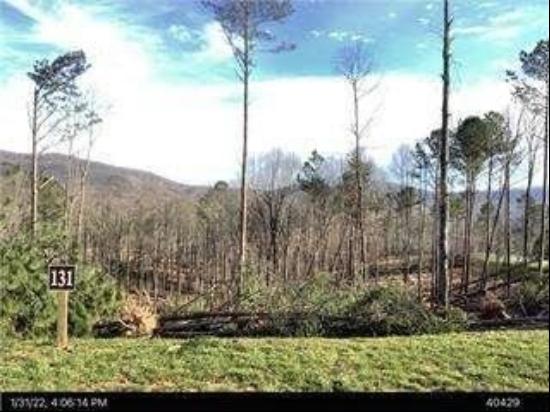 13 Lot 131 Twisted Oak, Ellijay GA 30540