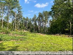 14 Adk Acres prvt. Road Lot 12, Edinburg NY 12134