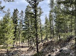 Tract 2B Grizzly Gulch Drive, Helena MT 59601