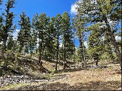 Tract 2B Grizzly Gulch Drive, Helena MT 59601