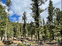 Tract 2B Grizzly Gulch Drive, Helena MT 59601