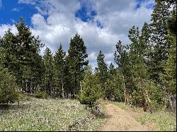 Tract 2B Grizzly Gulch Drive, Helena MT 59601