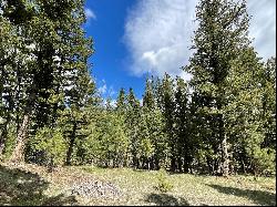 Tract 2B Grizzly Gulch Drive, Helena MT 59601