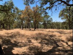 Bridle Trail Lane, Pilot Hill CA 95664