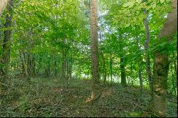 Lot 305 Rhododendron Ln, Fancy Gap VA 24328