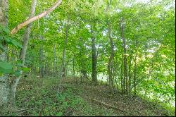 Lot 305 Rhododendron Ln, Fancy Gap VA 24328