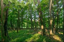 Lot 305 Rhododendron Ln, Fancy Gap VA 24328