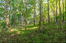 Lot 305 Rhododendron Ln, Fancy Gap VA 24328