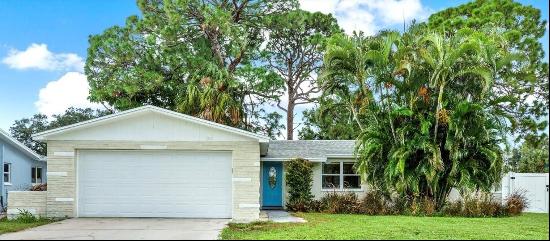 312 87th Avenue NE, Saint Petersburg FL 33702