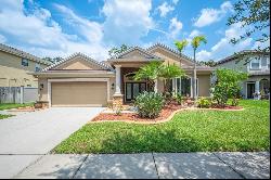 15621 N Himes Avenue, Tampa FL 33618