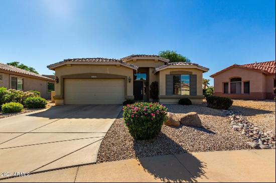 5116 S Sugarberry Court, Gilbert AZ 85298