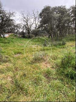 4400 sqm plot for sale in Ciudalcampo, Ciudalcampo 28707