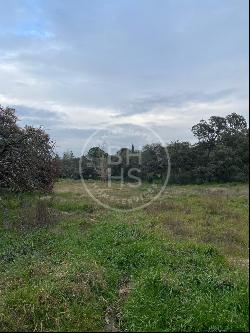 4400 sqm plot for sale in Ciudalcampo, Ciudalcampo 28707