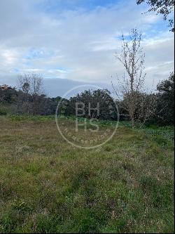 4400 sqm plot for sale in Ciudalcampo, Ciudalcampo 28707