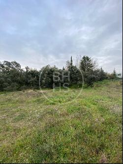 4400 sqm plot for sale in Ciudalcampo, Ciudalcampo 28707