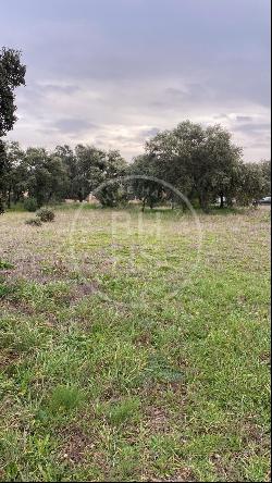 Plot for sale in Ciudalcampo, Ciudalcampo 28707