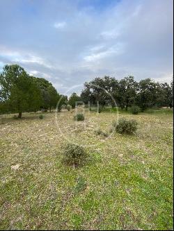 Plot for sale in Ciudalcampo, Ciudalcampo 28707