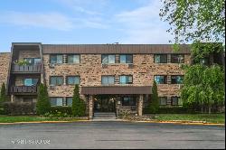 1205 E HINTZ Road #205, Arlington Heights IL 60004