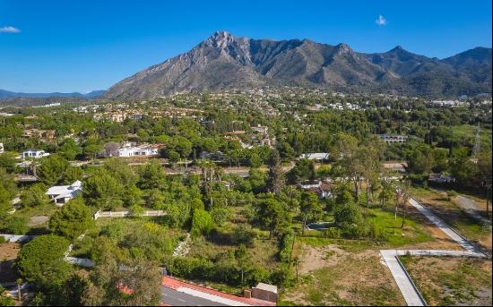 Investment opportunity on Marbella's Golden Mile: project for se, Marbella 29602