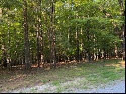 Lot 22 Woodshire Dr, Blue Ridge VA 24064