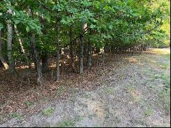 Lot 22 Woodshire Dr, Blue Ridge VA 24064