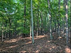 Lot 22 Woodshire Dr, Blue Ridge VA 24064