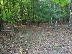 Lot 22 Woodshire Dr, Blue Ridge VA 24064