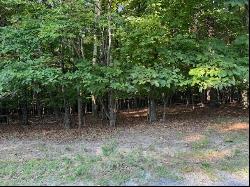 Lot 22 Woodshire Dr, Blue Ridge VA 24064