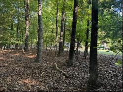 Lot 22 Woodshire Dr, Blue Ridge VA 24064