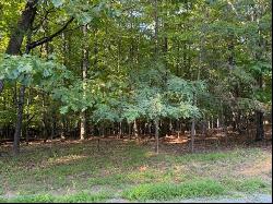 Lot 22 Woodshire Dr, Blue Ridge VA 24064