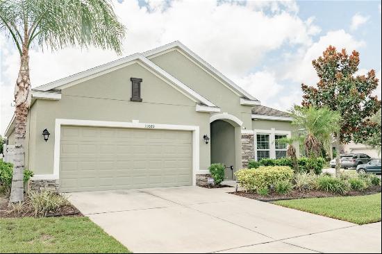 33080 Shadow Branch Lane, Wesley Chapel FL 33545