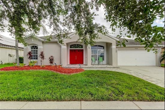 25954 Risen Star Drive, Wesley Chapel FL 33544