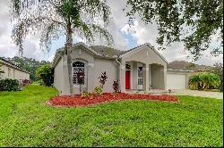 25954 Risen Star Drive, Wesley Chapel FL 33544