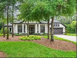 19310 Shortleaf Pine Lane, Odessa FL 33556