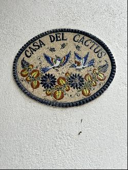 Casa del Cactus