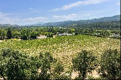 Calistoga Vineyard