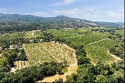 Calistoga Vineyard