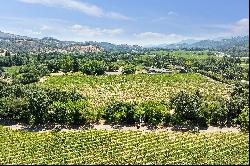 Calistoga Vineyard