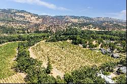 Calistoga Vineyard