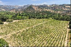 Calistoga Vineyard