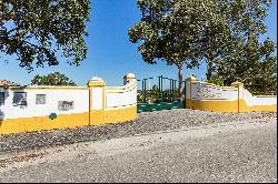 Farm, 6 bedrooms, for Sale