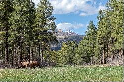 X Hidden Valley Drive, Pagosa Springs, CO 81147